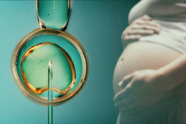 IVF (In Vitro Fertilization)