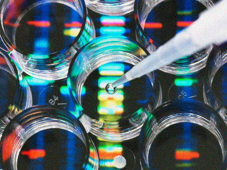 Unveiling PARP Inhibitors: The Game-Changing Cancer Drugs – How They Work and Your Options