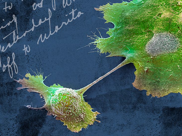 Unmasking Cancer: Exploring Causes, Types and Latest Treatment Options