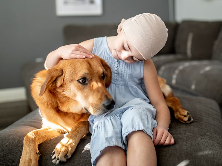 Types of leukemia: Prevalence, treatment options, and prognosis