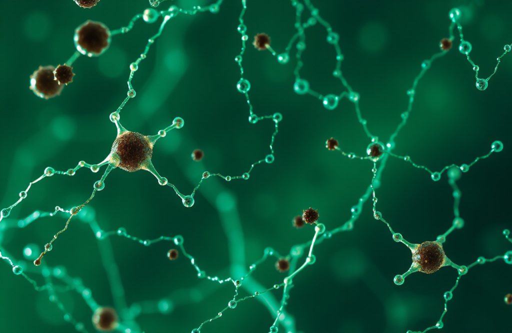 Enhancing HPLC Accuracy with SLU-PP-332 Calibration Standards