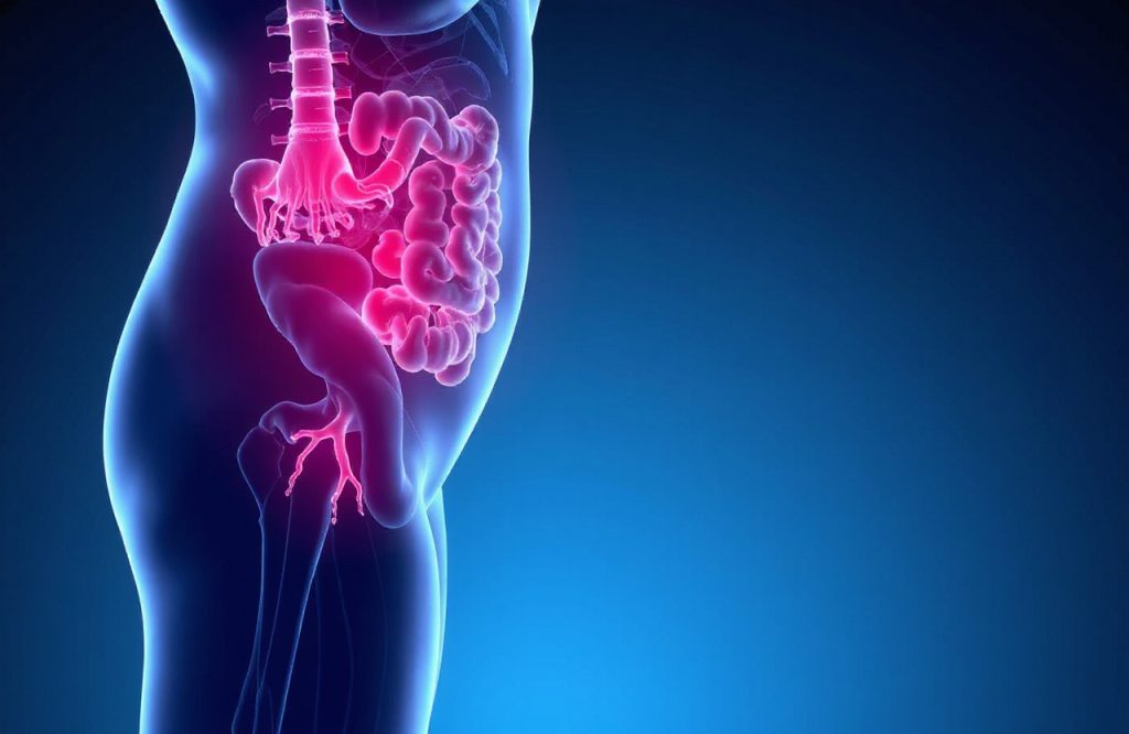 Exploring the Connection Between Gut Microbiome, Inflammation, and Osteoarthritis Pain