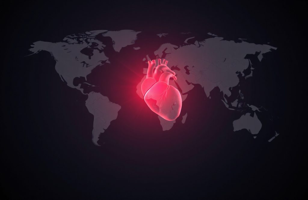 Gender Disparity in Heart Attack Survival: Why Women in the Global North Face Greater Risks