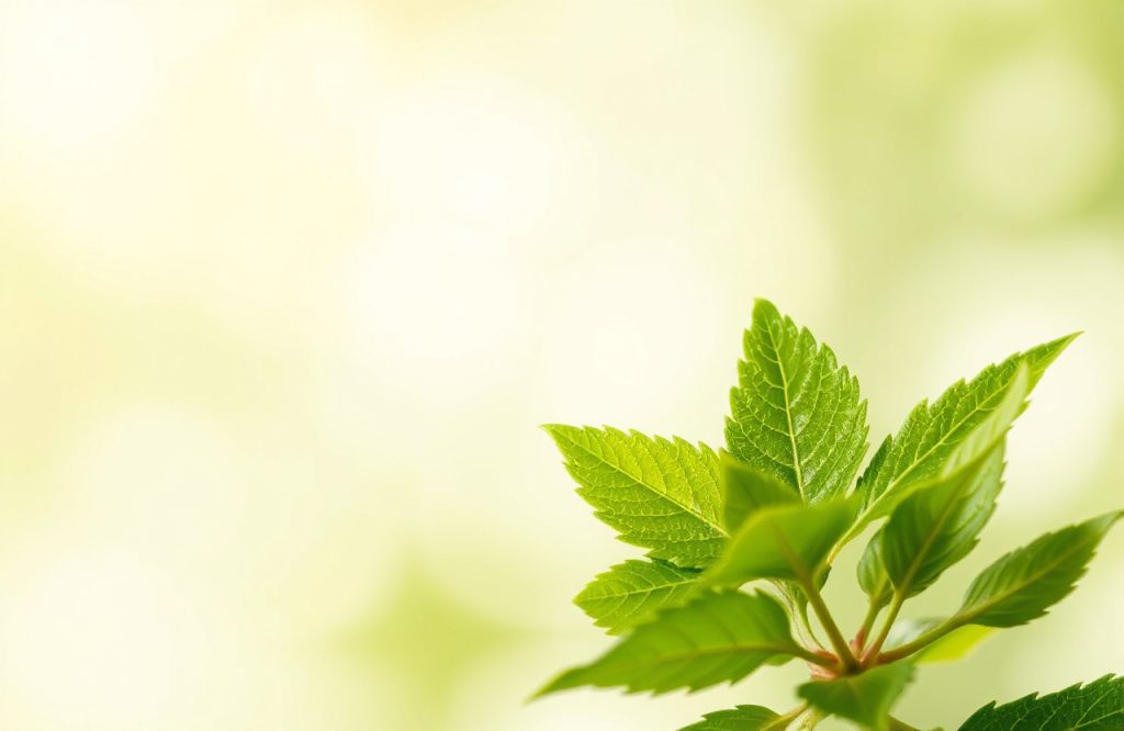 Exploring the Potential of Phytochemicals in Combating Antibiotic Resistance