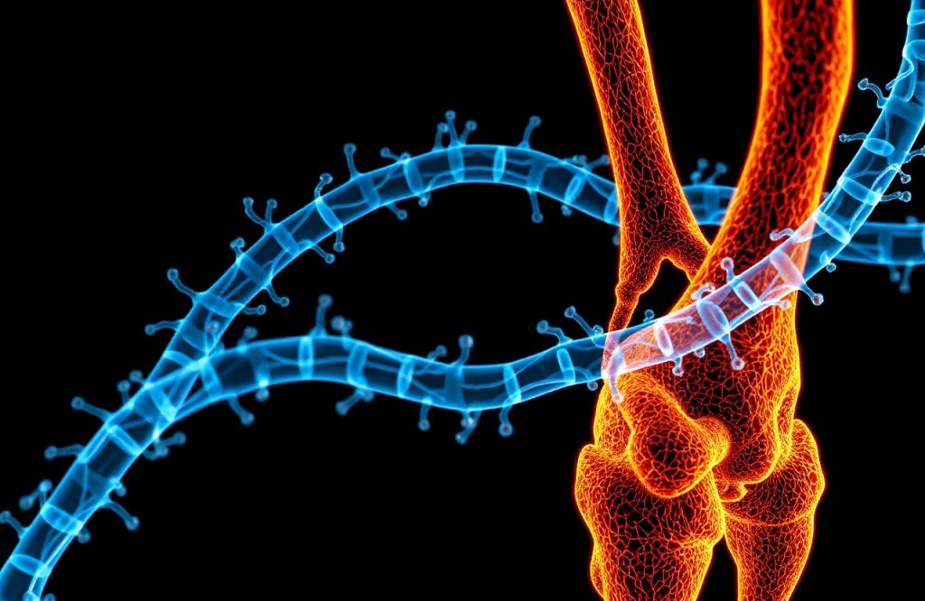 Exploring the Connection Between Bone Mineral Density and the Microbiome: Insights and Implications