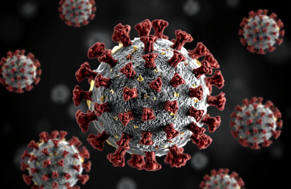 Broad-Spectrum Antibodies Show Promise Against Multiple Coronavirus Strains