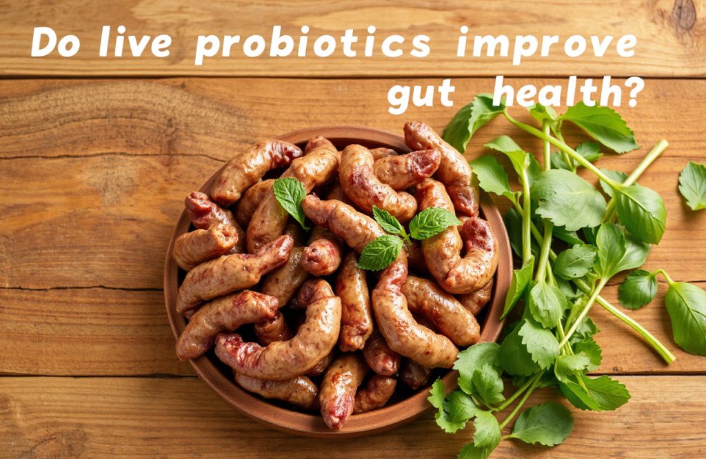 Exploring the Benefits of Live Probiotics for Gut Health Improvement