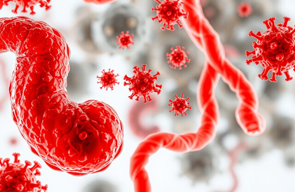 The Impact of Intestinal Immune Cells on Gut Bacteria and Diabetes Risk