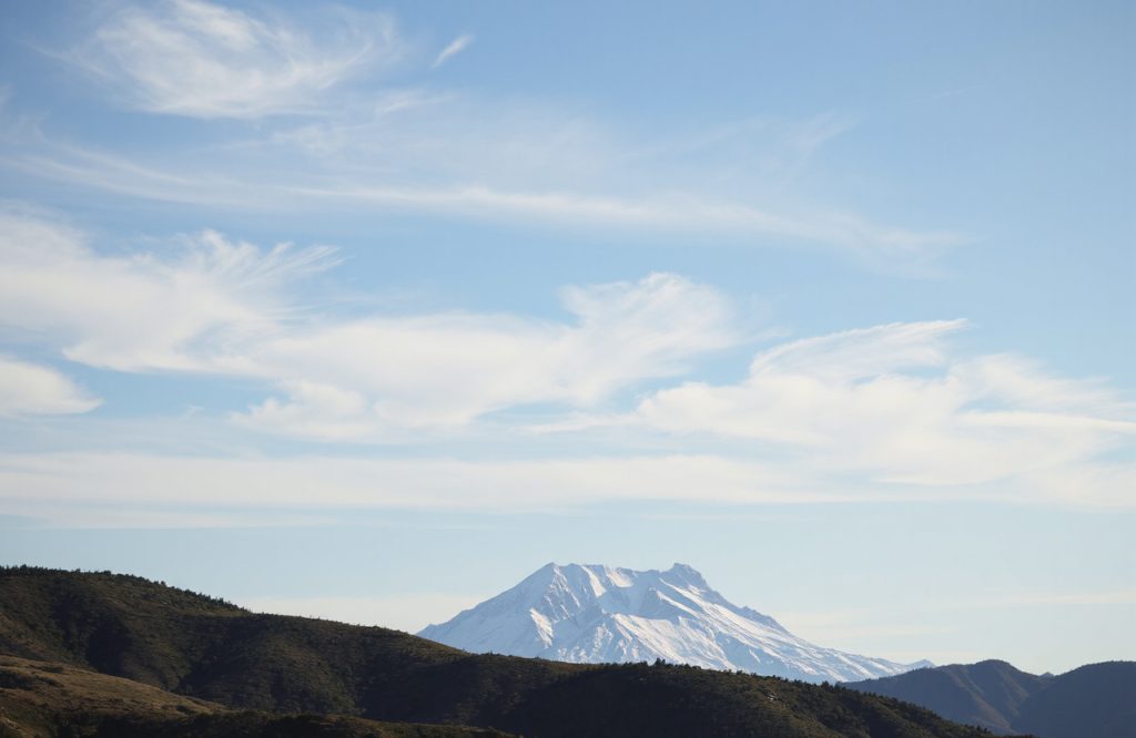 Unlocking the Power of Choline: Essential Benefits for Health and Wellness