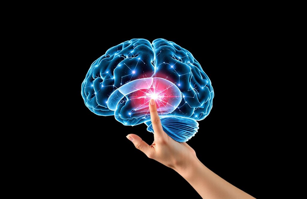 Boost Your Brain Power: The Surprising Connection Between Exercise and Brain Growth