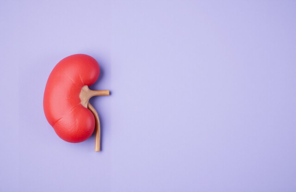 Impact of Intensive Blood Pressure Control on Kidney Disease Risk