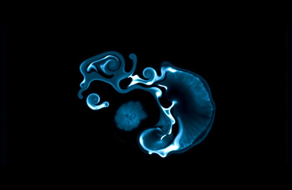 Evaluating the Reliability and Predictability of In-Utero MRI Findings