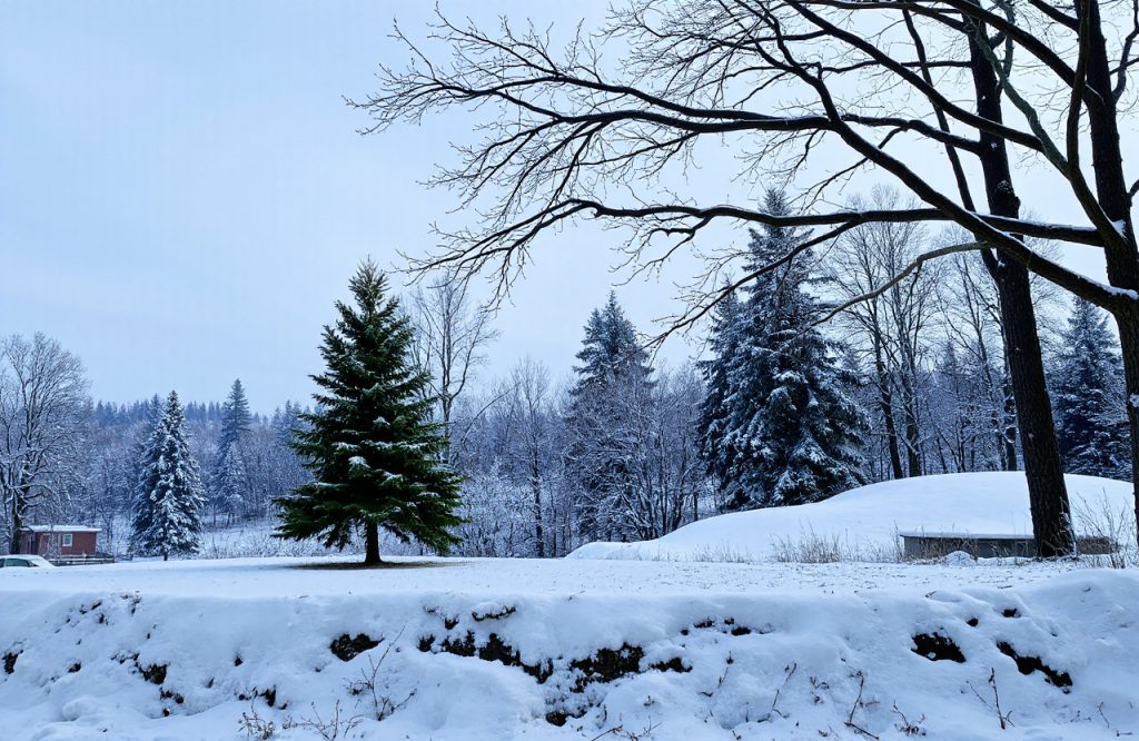 Hilarious December 9 Joke of the Day to Brighten Your Mood