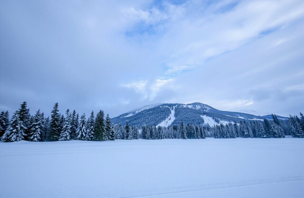 Hilarious Joke of the Day for December 8 to Brighten Your Mood