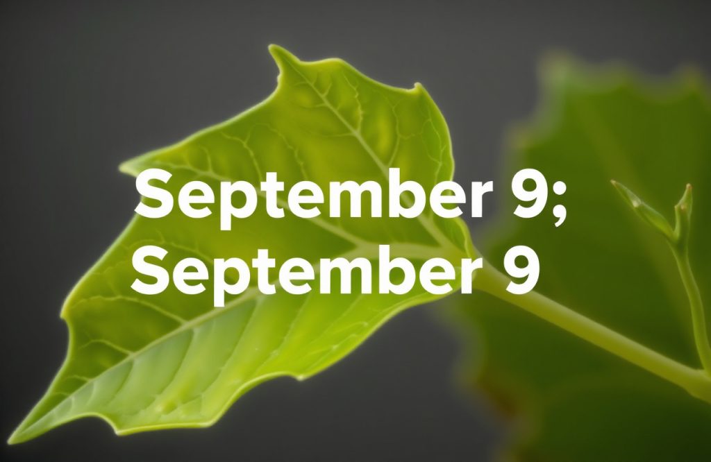 Challenging Brain Teaser to Test Your Skills – September 9 Edition