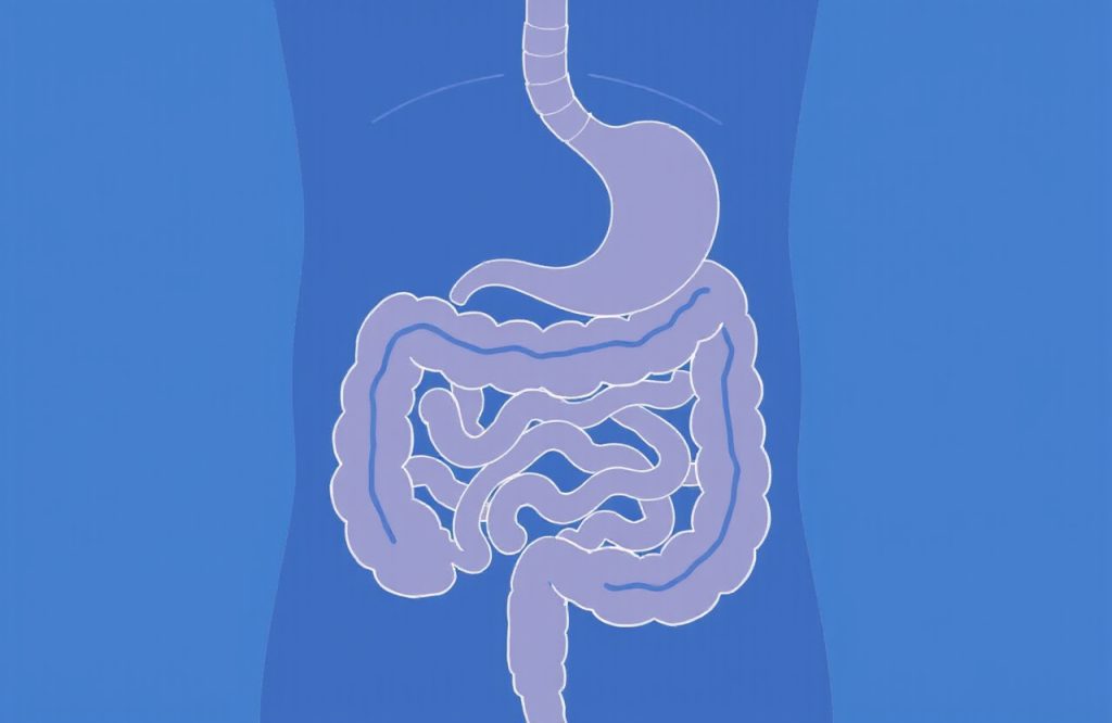 Exploring the Benefits of Vitamin D for Irritable Bowel Syndrome Patients