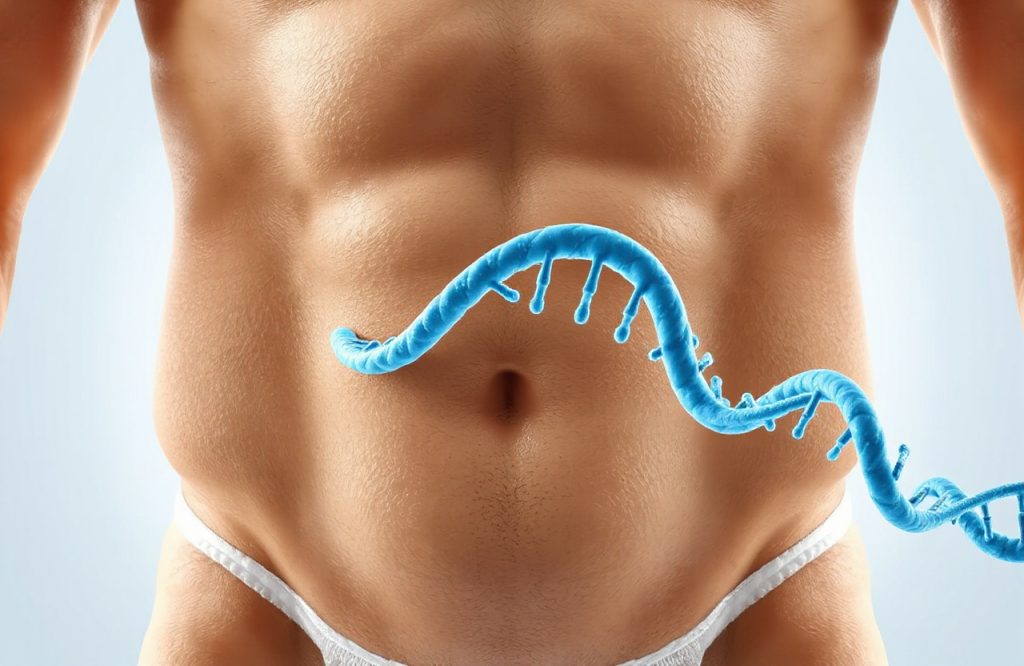 Exploring the Impact of Genetics on Fat Distribution in the Human Body