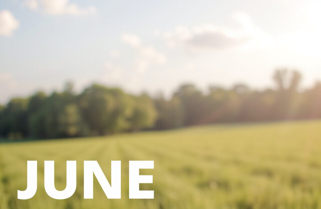 Challenging Brain Teaser to Sharpen Your Mind – June 1 Edition