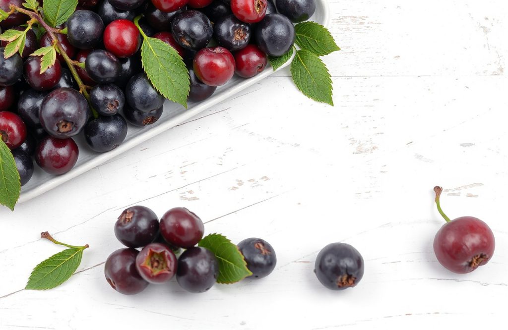 Unlocking Heart Health: The Cardiovascular Benefits of Aronia Berry Polyphenols