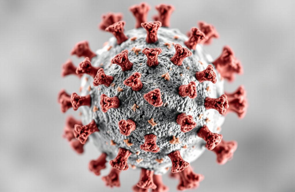 Exploring Intracellular Mechanics: A Pathway to Potential COVID-19 Treatments