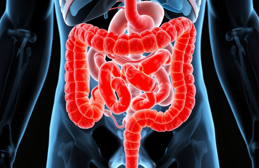 Exploring the Connection Between Crohn’s Disease and Fatty Tissue Around the Intestine