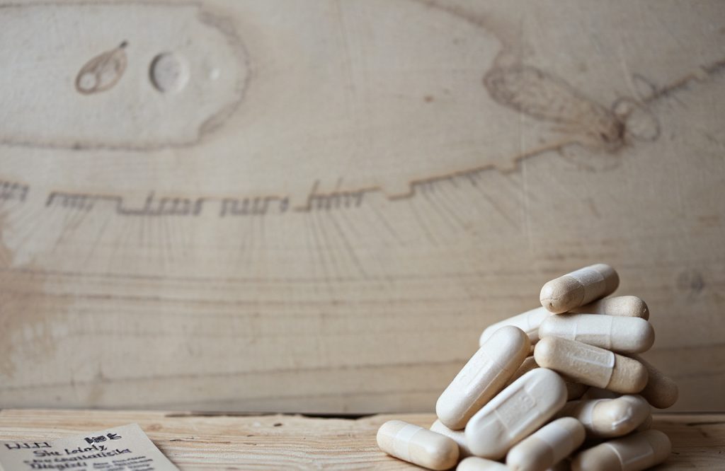 Enhance Your Health and Brain Power with Shilajit Supplements