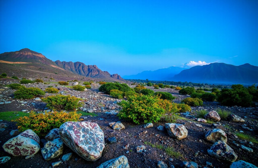 Dr Tushar Ambadkar Triumphs in National Geographic India Photography Contest